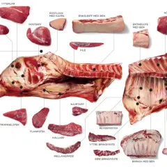 En illustration av en nötkropp uppdelad i olika styckdetaljer, inklusive top blade (entrecote med ben).