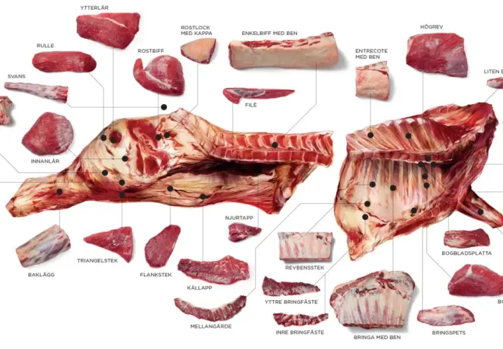 En illustration av en nötkropp uppdelad i olika styckdetaljer, inklusive top blade (entrecote med ben).