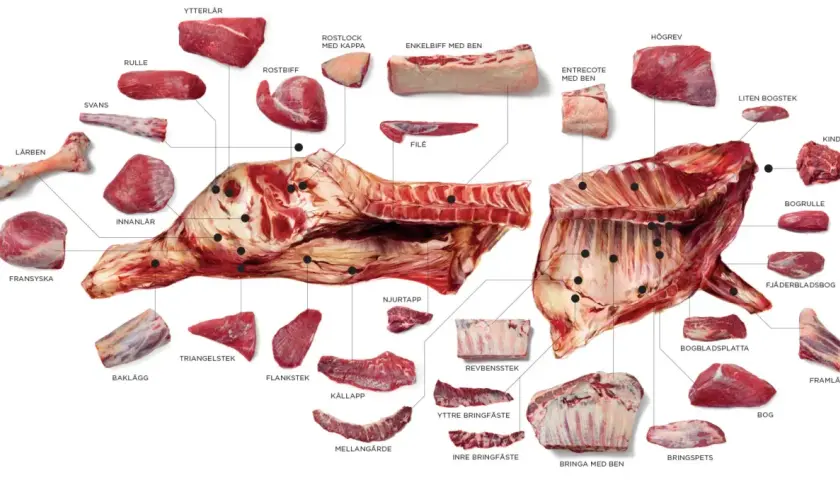 En illustration av en nötkropp uppdelad i olika styckdetaljer, inklusive top blade (entrecote med ben).