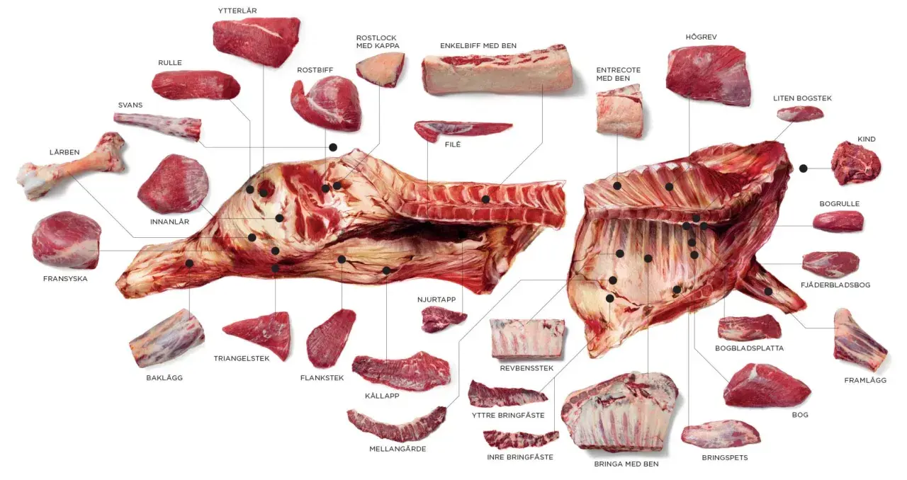 En illustration av en nötkropp uppdelad i olika styckdetaljer, inklusive top blade (entrecote med ben).